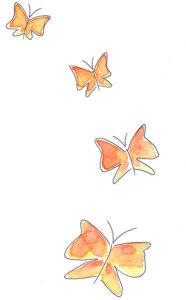 papillons oranges dessinés par Anna Emme